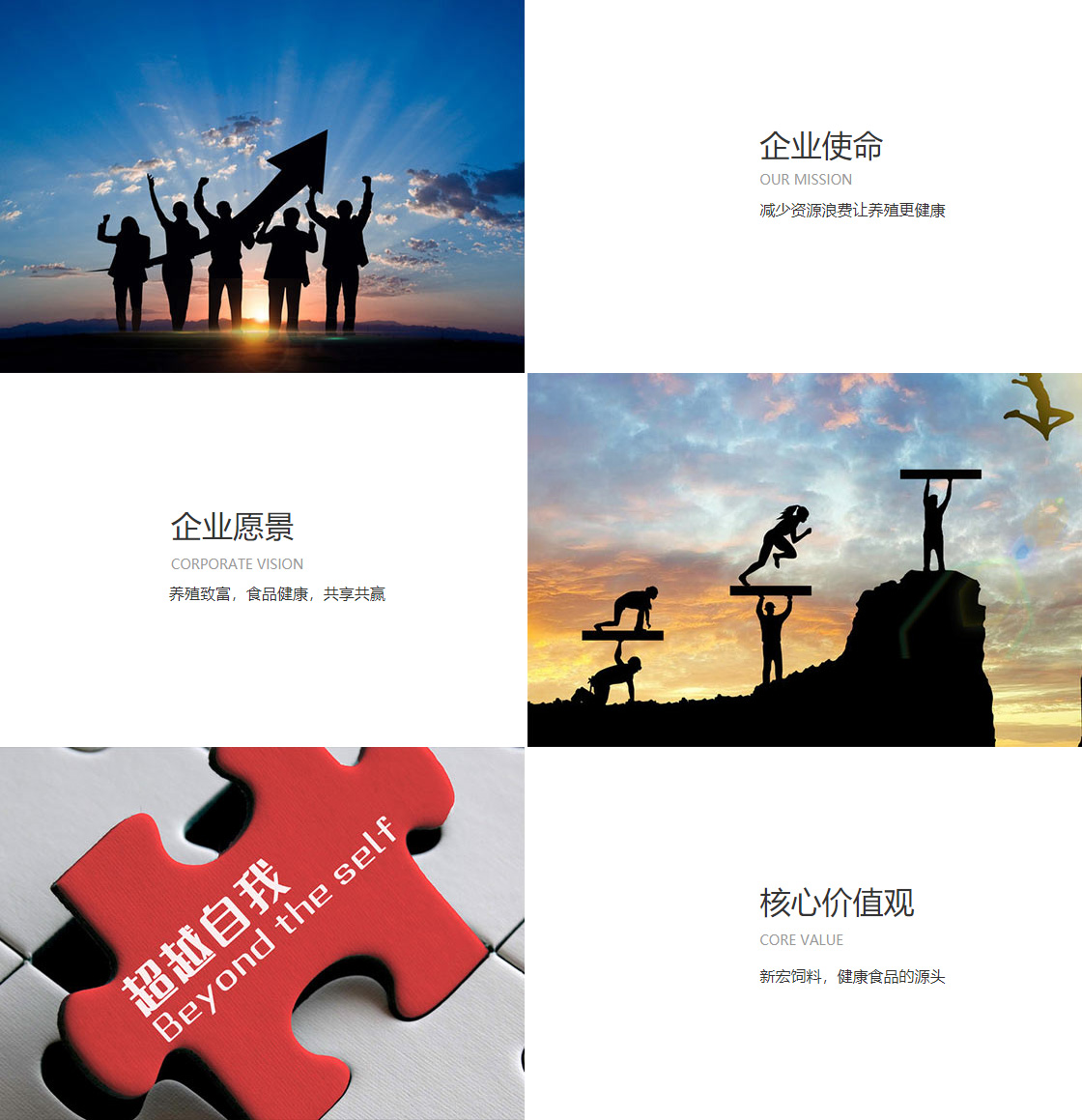 betivctor伟德(图1)